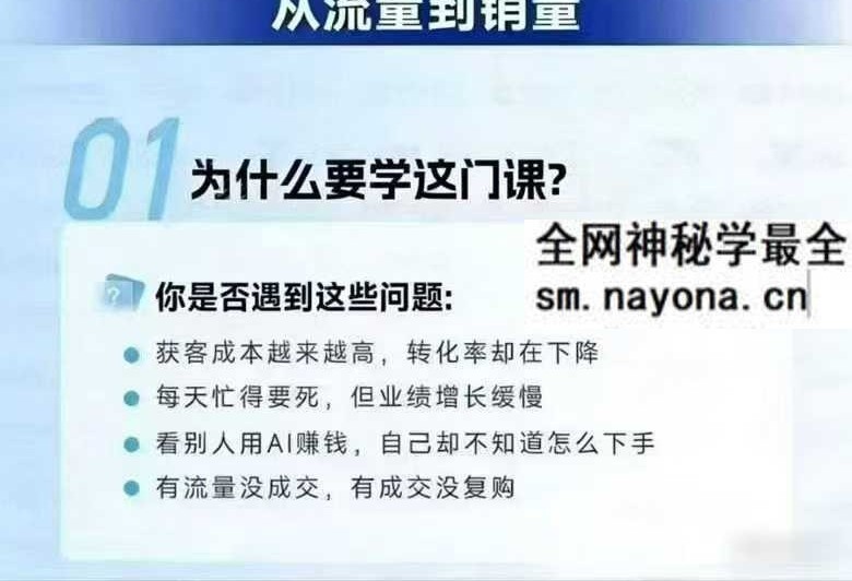 吴思晓AI获客2天2夜线下课