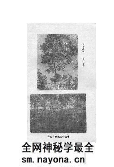 《芦山县生漆志》.pdf电子版_四川省志预览图2 《芦山县生漆志》.pdf电子版_四川省志预览图2
