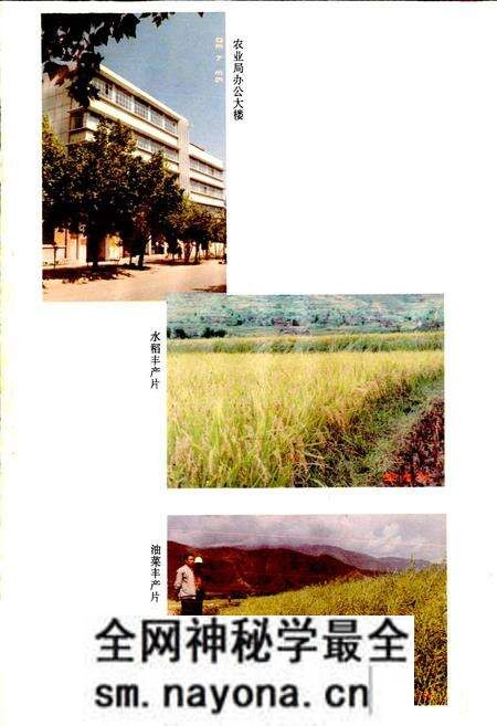 《冕宁县农业志》.pdf电子版_四川省志预览图4