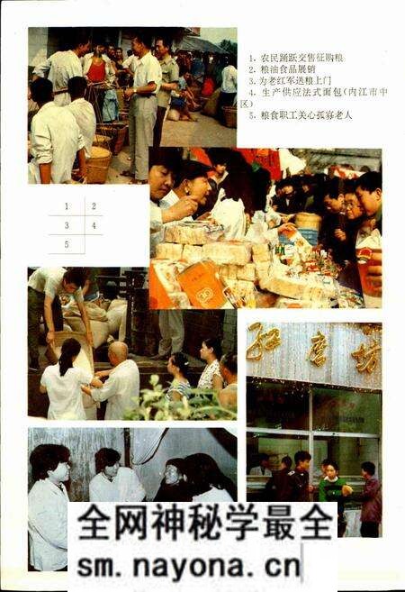 《内江地区粮食志》.pdf电子版_四川省志预览图4 《内江地区粮食志》.pdf电子版_四川省志预览图4