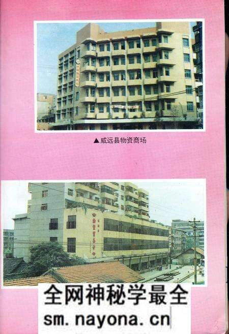 《内江地区物资志》.pdf电子版_四川省志预览图4 《内江地区物资志》.pdf电子版_四川省志预览图4