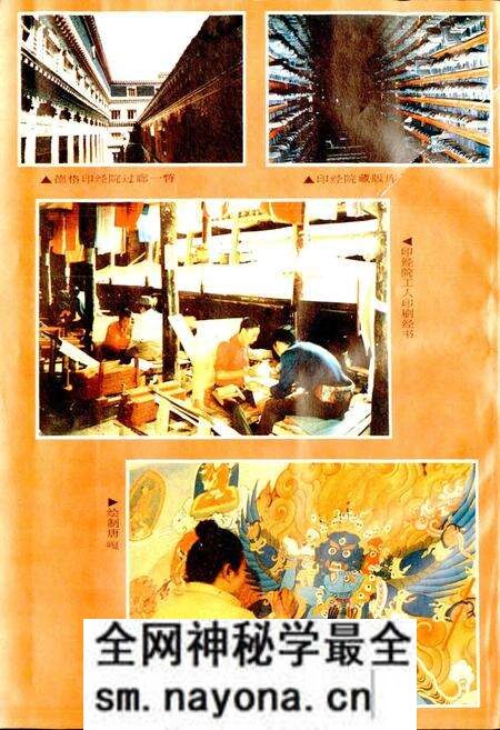 《德格县志》.pdf电子版_四川省志预览图3 《德格县志》.pdf电子版_四川省志预览图3