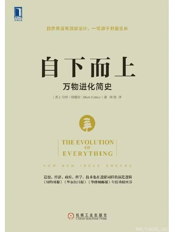 《自下而上：万物进化简史》封面图片