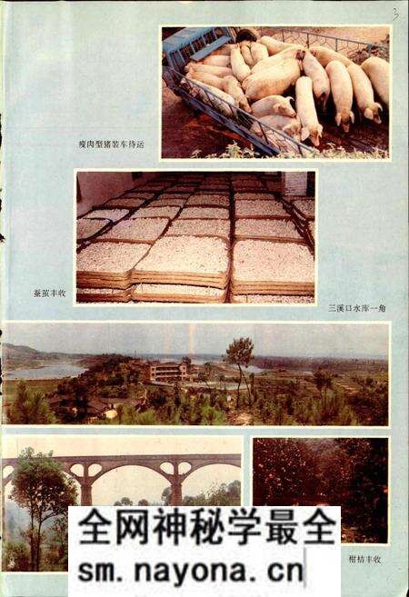 《泸县志》.pdf电子版_四川省志预览图4