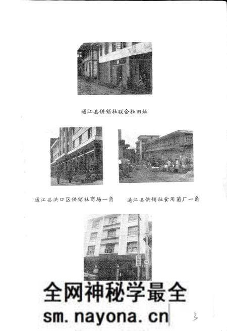 《通江县供销合作志》.pdf电子版_四川省志预览图3