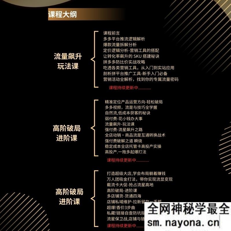 大炮电商-拼多多全阶实战课程2025年12月20日更新
