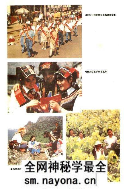 《凉山彝族自治州金融志》.pdf电子版_四川省志预览图5 《凉山彝族自治州金融志》.pdf电子版_四川省志预览图5