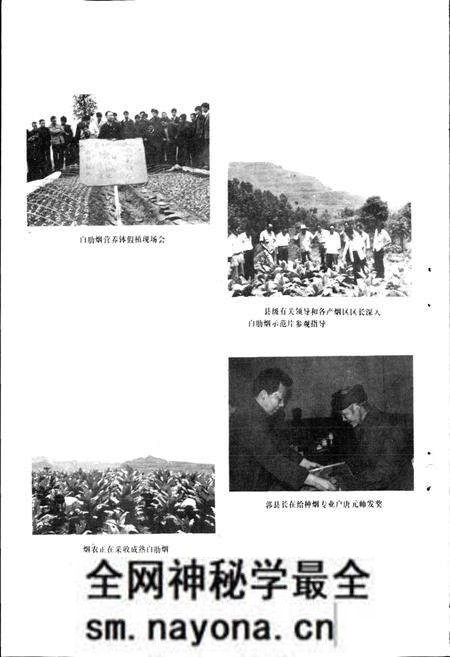 《通江县烟草志》.pdf电子版_四川省志预览图5 《通江县烟草志》.pdf电子版_四川省志预览图5
