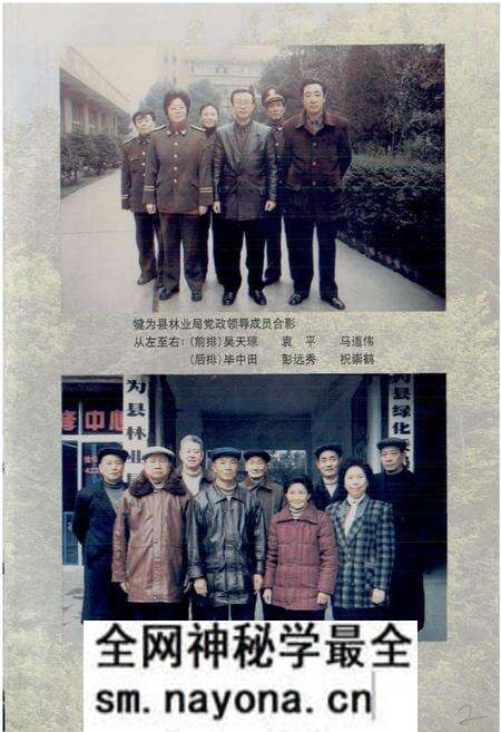 《犍为县林业志》.pdf电子版_四川省志预览图3 《犍为县林业志》.pdf电子版_四川省志预览图3