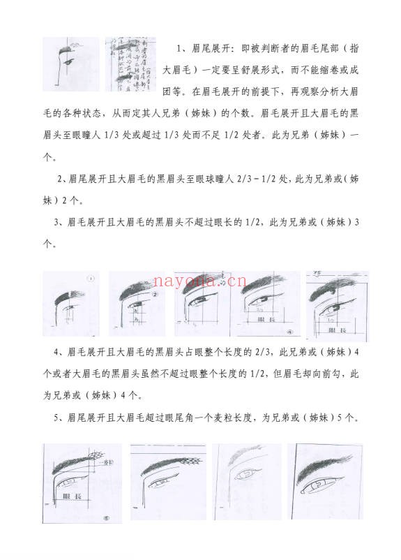 陈鼎龙中国手面相绝学讲义22页PDF 手面相教程