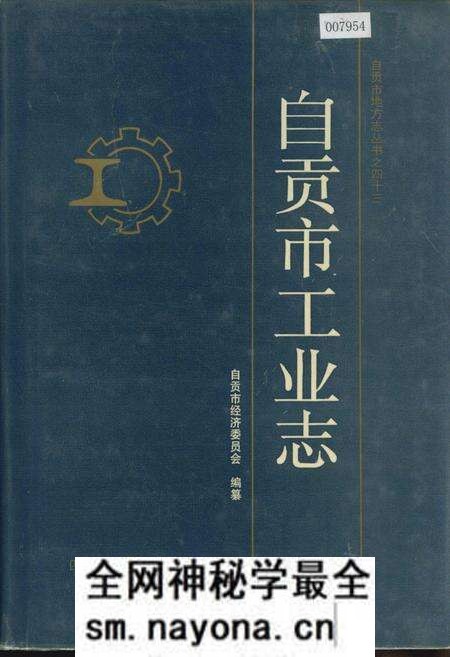 《自贡市工业志》.pdf电子版_四川省志预览图 《自贡市工业志》.pdf电子版_四川省志预览图