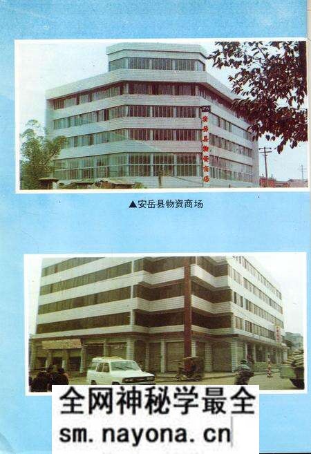 《内江地区物资志》.pdf电子版_四川省志预览图5 《内江地区物资志》.pdf电子版_四川省志预览图5