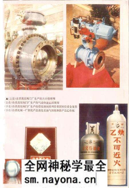 《自贡市机械工业志》.pdf电子版_四川省志预览图5 《自贡市机械工业志》.pdf电子版_四川省志预览图5