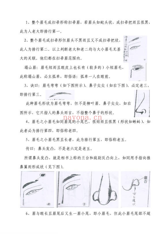 陈鼎龙中国手面相绝学讲义22页PDF 手面相教程