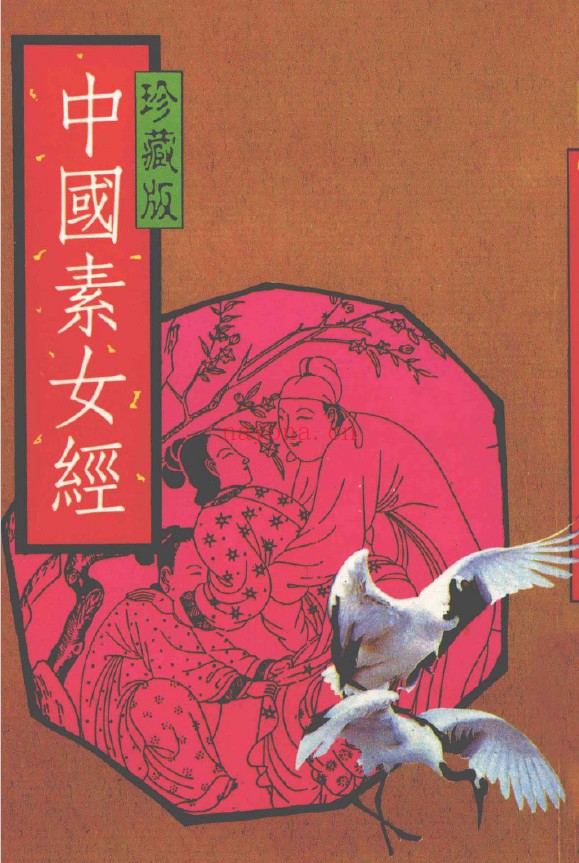中国素女经 珍藏版pdf