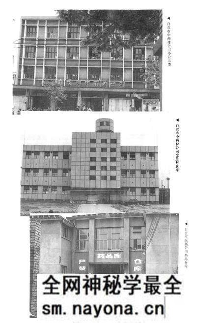 《自贡市医药志》.pdf电子版_四川省志预览图3 《自贡市医药志》.pdf电子版_四川省志预览图3