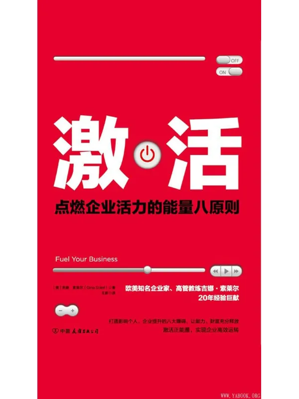 《激活：点燃企业活力的能量八原则！》封面图片