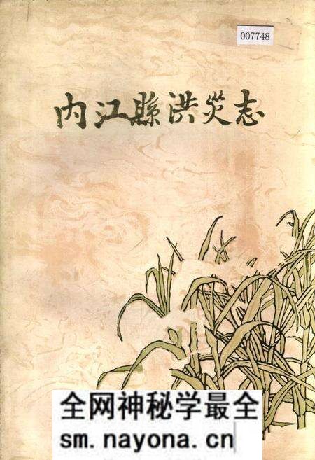 《内江县洪灾志》.pdf电子版_四川省志预览图 《内江县洪灾志》.pdf电子版_四川省志预览图