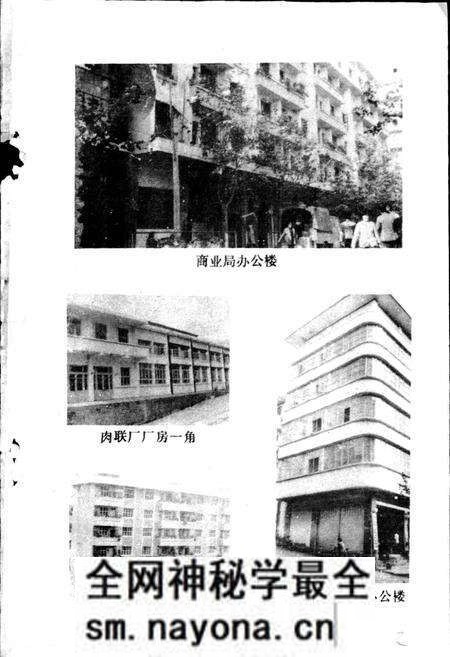 《通江县商业志》.pdf电子版_四川省志预览图3 《通江县商业志》.pdf电子版_四川省志预览图3