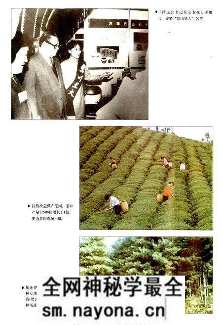 《万源县财政志》.pdf电子版_四川省志预览图5 《万源县财政志》.pdf电子版_四川省志预览图5