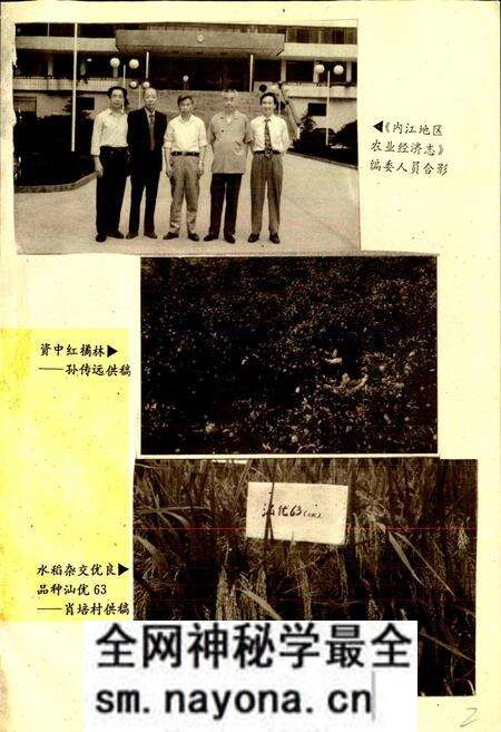 《内江地区农业经济志》.pdf电子版_四川省志预览图2
