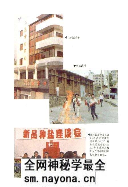 《攀枝花盐业志》.pdf电子版_四川省志预览图4 《攀枝花盐业志》.pdf电子版_四川省志预览图4