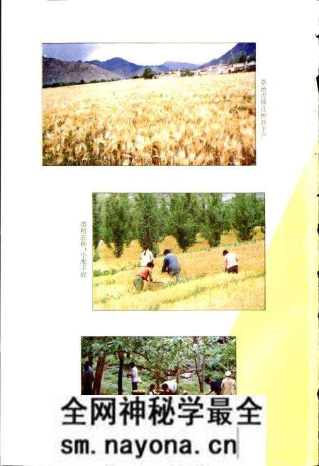 《阿坝州志 中册》.pdf电子版_四川省志预览图5