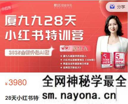 夏九九-28天小红书特训营26期25年(价值3980元)
