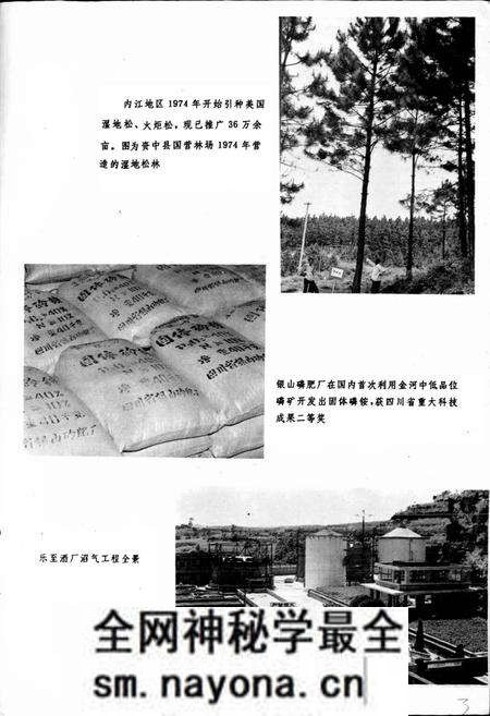 《内江地区科学技术志》.pdf电子版_四川省志预览图5 《内江地区科学技术志》.pdf电子版_四川省志预览图5