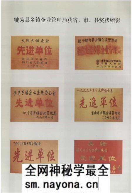 《犍为县乡镇企业志》.pdf电子版_四川省志预览图5 《犍为县乡镇企业志》.pdf电子版_四川省志预览图5