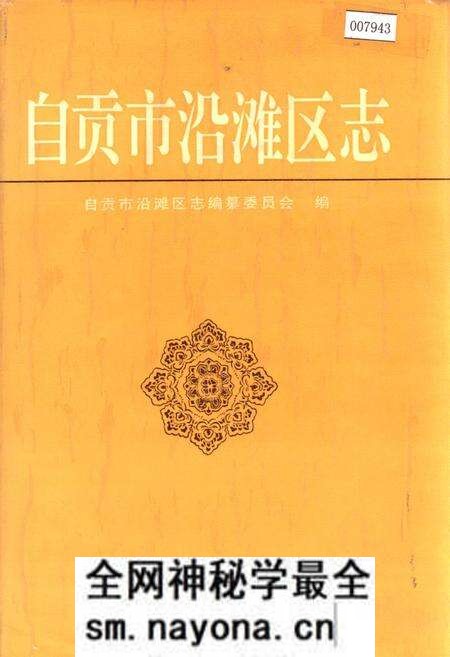 《自贡市沿滩区志》.pdf电子版_四川省志预览图 《自贡市沿滩区志》.pdf电子版_四川省志预览图
