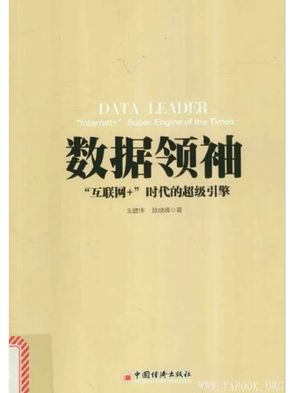 《数据领袖》封面图片