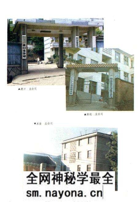 《攀枝花盐业志》.pdf电子版_四川省志预览图2 《攀枝花盐业志》.pdf电子版_四川省志预览图2