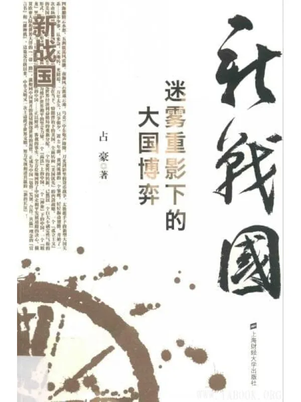 《新战国：迷雾重影下的大国博弈》封面图片