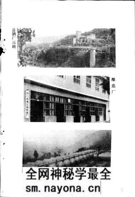 《通江县商业志》.pdf电子版_四川省志预览图5 《通江县商业志》.pdf电子版_四川省志预览图5