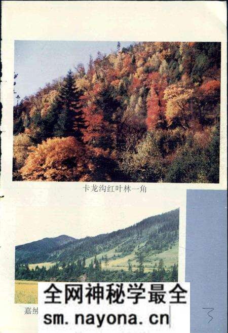 《嘉绒藏族史志》.pdf电子版_四川省志预览图4