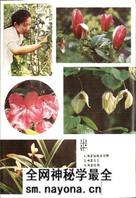 《峨眉县志》.pdf电子版_四川省志预览图5 《峨眉县志》.pdf电子版_四川省志预览图5