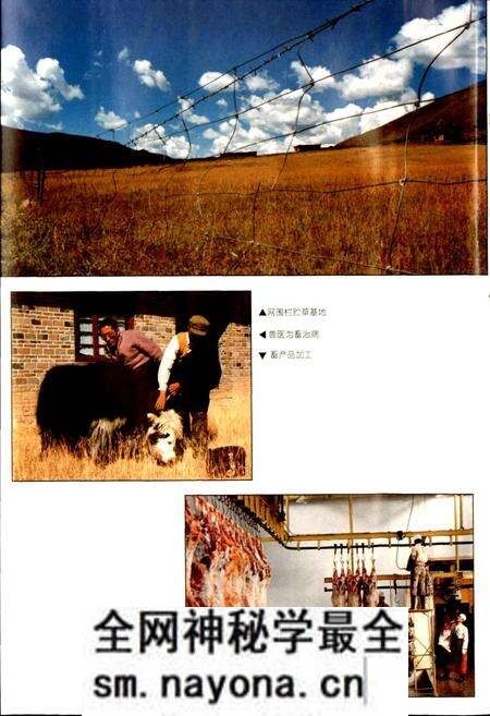 《甘孜州志 中》.pdf电子版_四川省志预览图5 《甘孜州志 中》.pdf电子版_四川省志预览图5