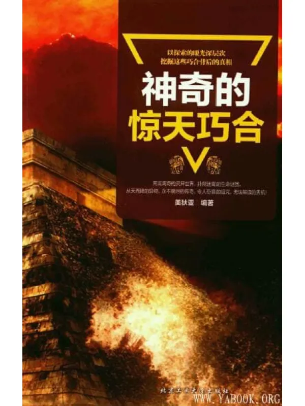 《神奇的惊天巧合》封面图片