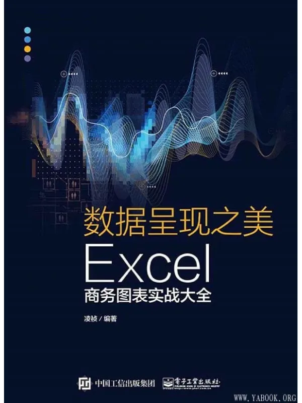 《数据呈现之美：Excel商务图表实战大全》封面图片