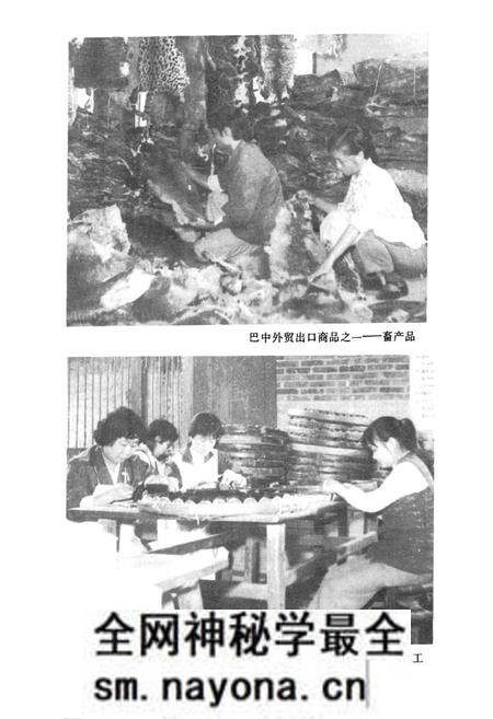 《巴中外贸志》.pdf电子版_四川省志预览图5 《巴中外贸志》.pdf电子版_四川省志预览图5