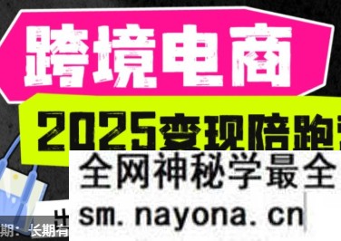 职场B计划阿耀-打爆TiktoK-2025变现陪跑营(价值9800元)