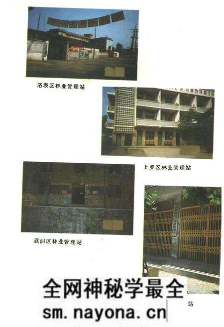 《珙县林业志》.pdf电子版_四川省志预览图3