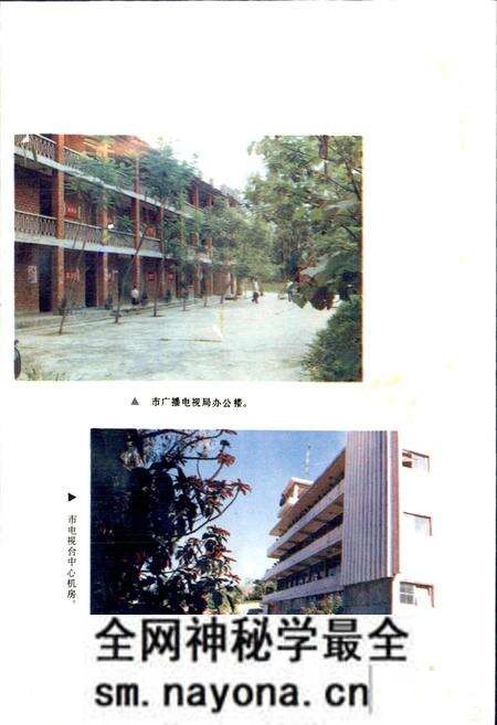 《攀枝花市广播电视志》.pdf电子版_四川省志预览图3 《攀枝花市广播电视志》.pdf电子版_四川省志预览图3