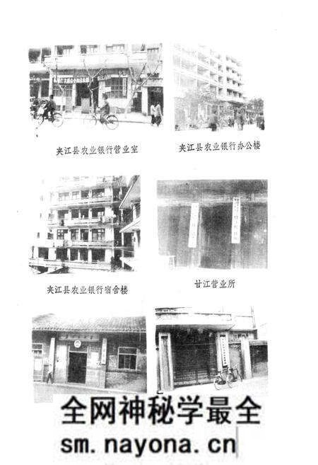 《夹江县农村金融志》.pdf电子版_四川省志预览图2