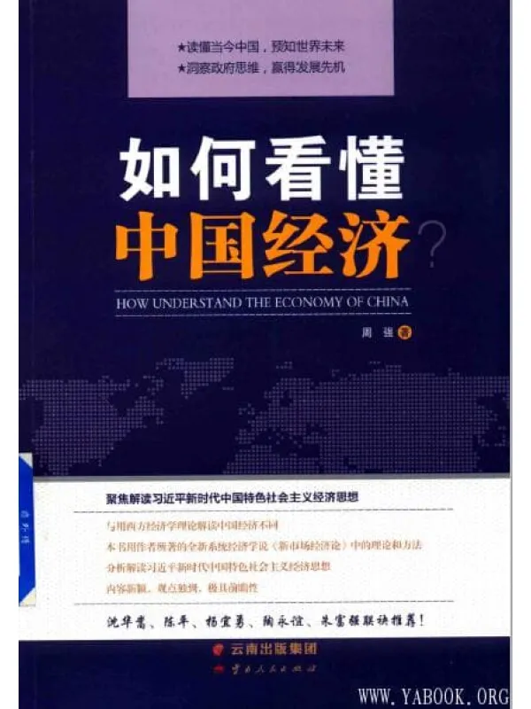 《如何看懂中国经济？》封面图片