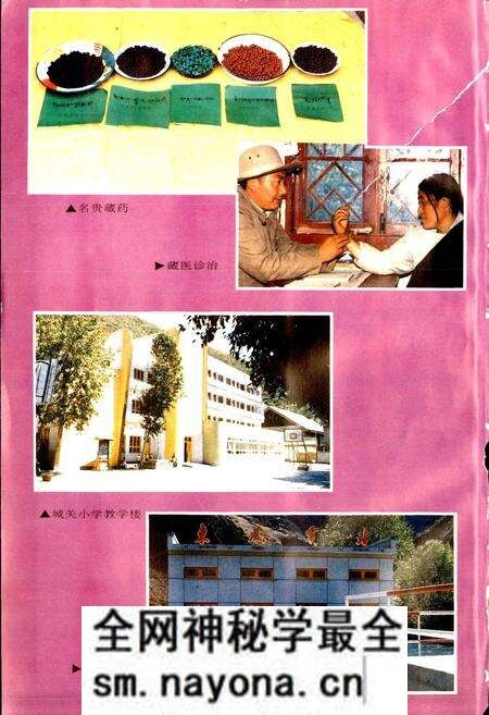 《德格县志》.pdf电子版_四川省志预览图5 《德格县志》.pdf电子版_四川省志预览图5