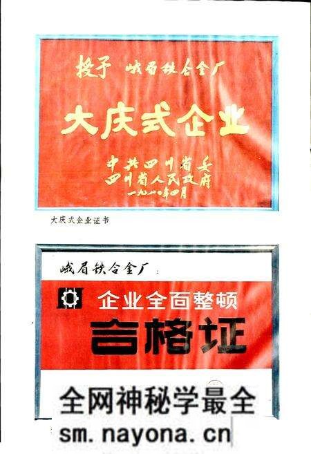 《峨眉铁合金厂志》.pdf电子版_四川省志预览图4