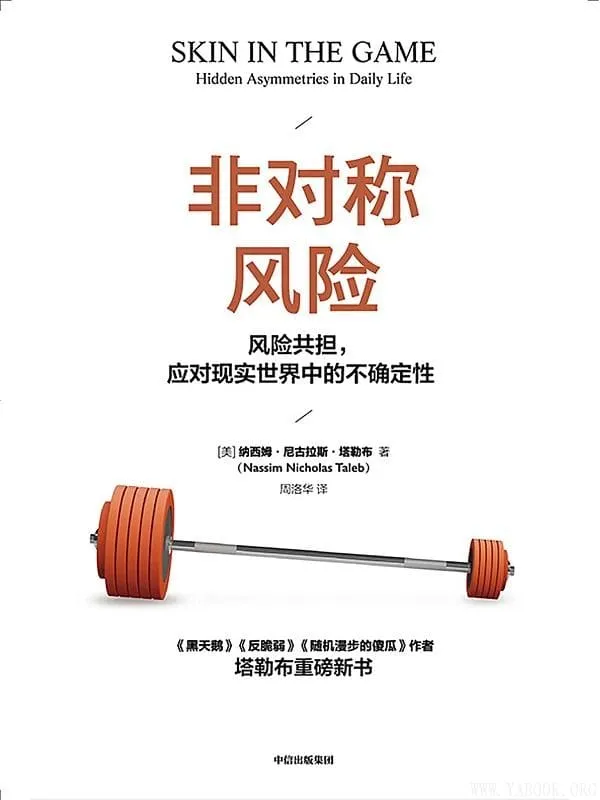 《非对称风险》封面图片