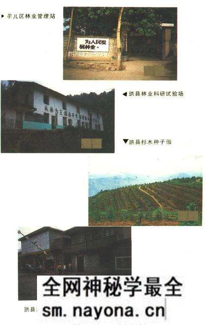 《珙县林业志》.pdf电子版_四川省志预览图4